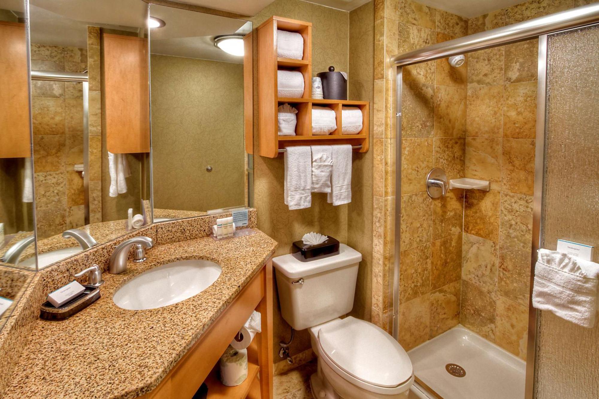 Hampton Nashville/brentwood-i-65s Hotel Brentwood
